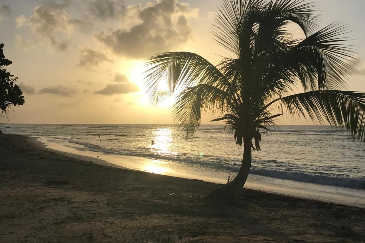 Studio Tahiti Vue Mer Saint-Francois  Kültér fotó